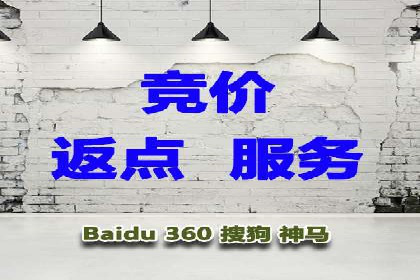 SEM推广竞价案例：提升广告投放效果